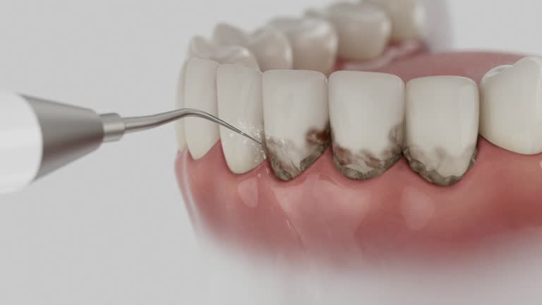 Reliable Dental contractor in Triangle, VA by Dentist Open Now